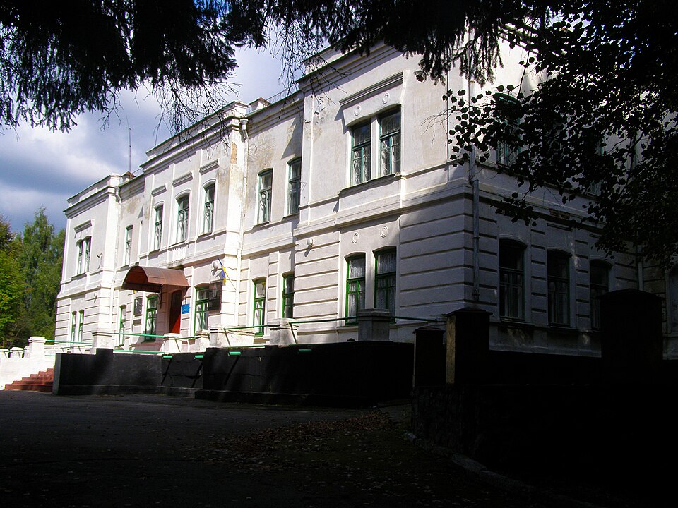 Палац фон Мекк, Браїлів