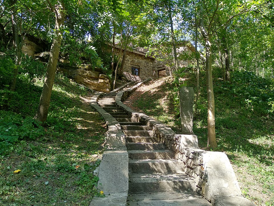 Busha Reserve