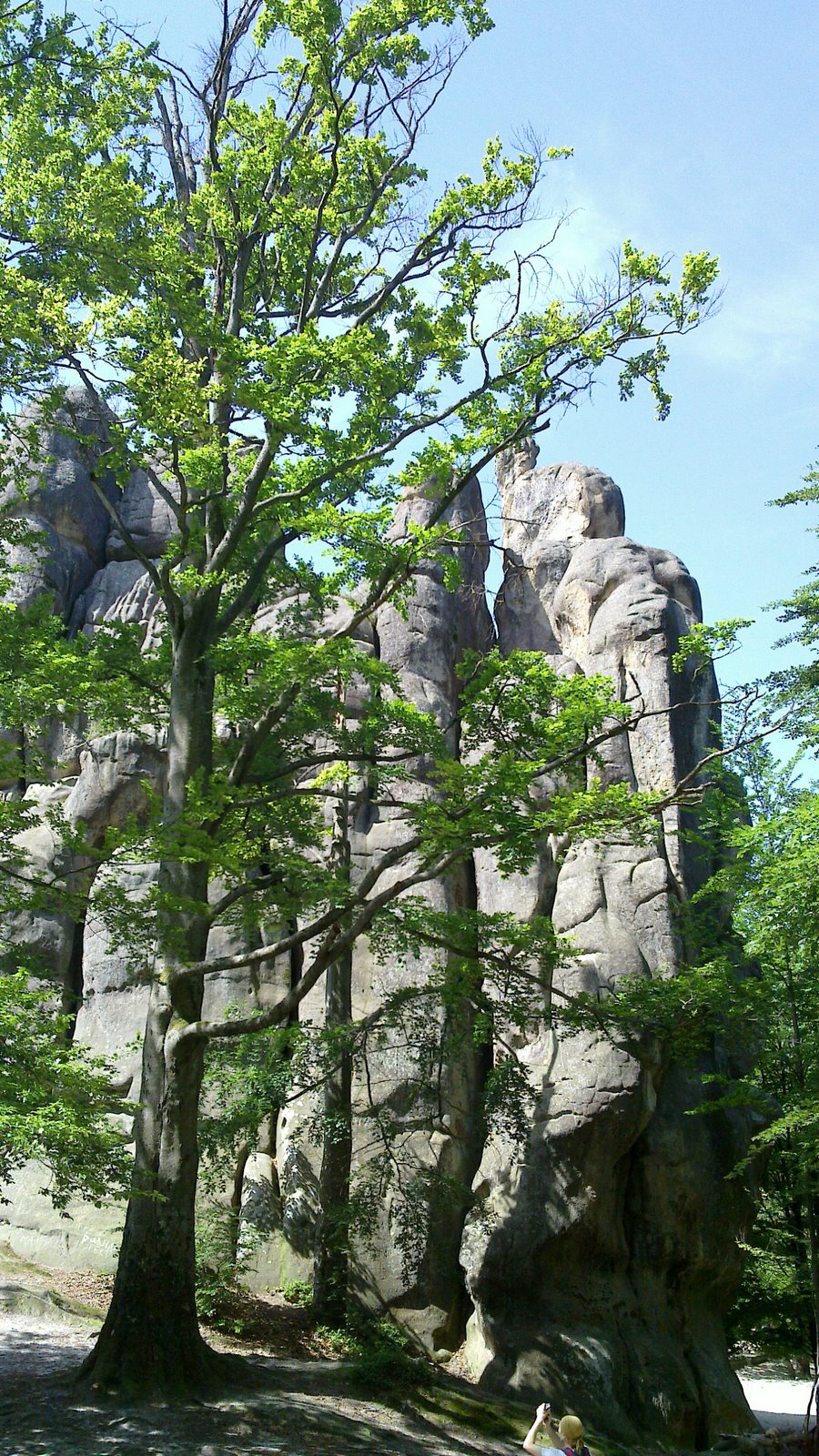 Скелі Довбуша, Бубнище