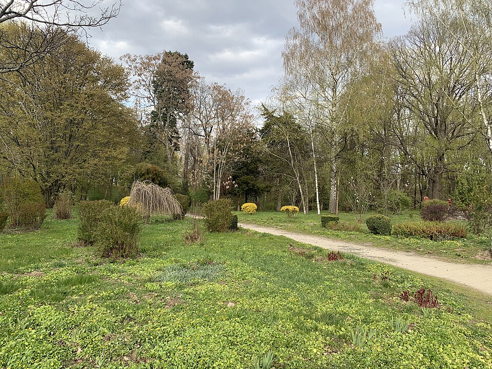 Краснокутський дендропарк, Основинці