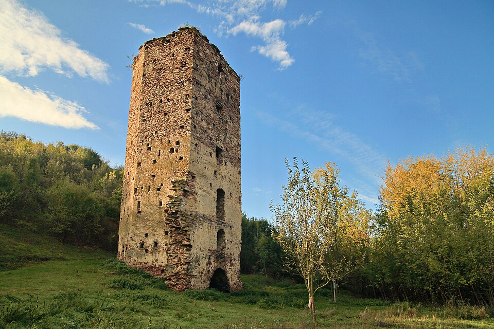 Раковецький замок